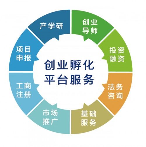 2019年星夢園再獲殊榮 成功晉級省級孵化器